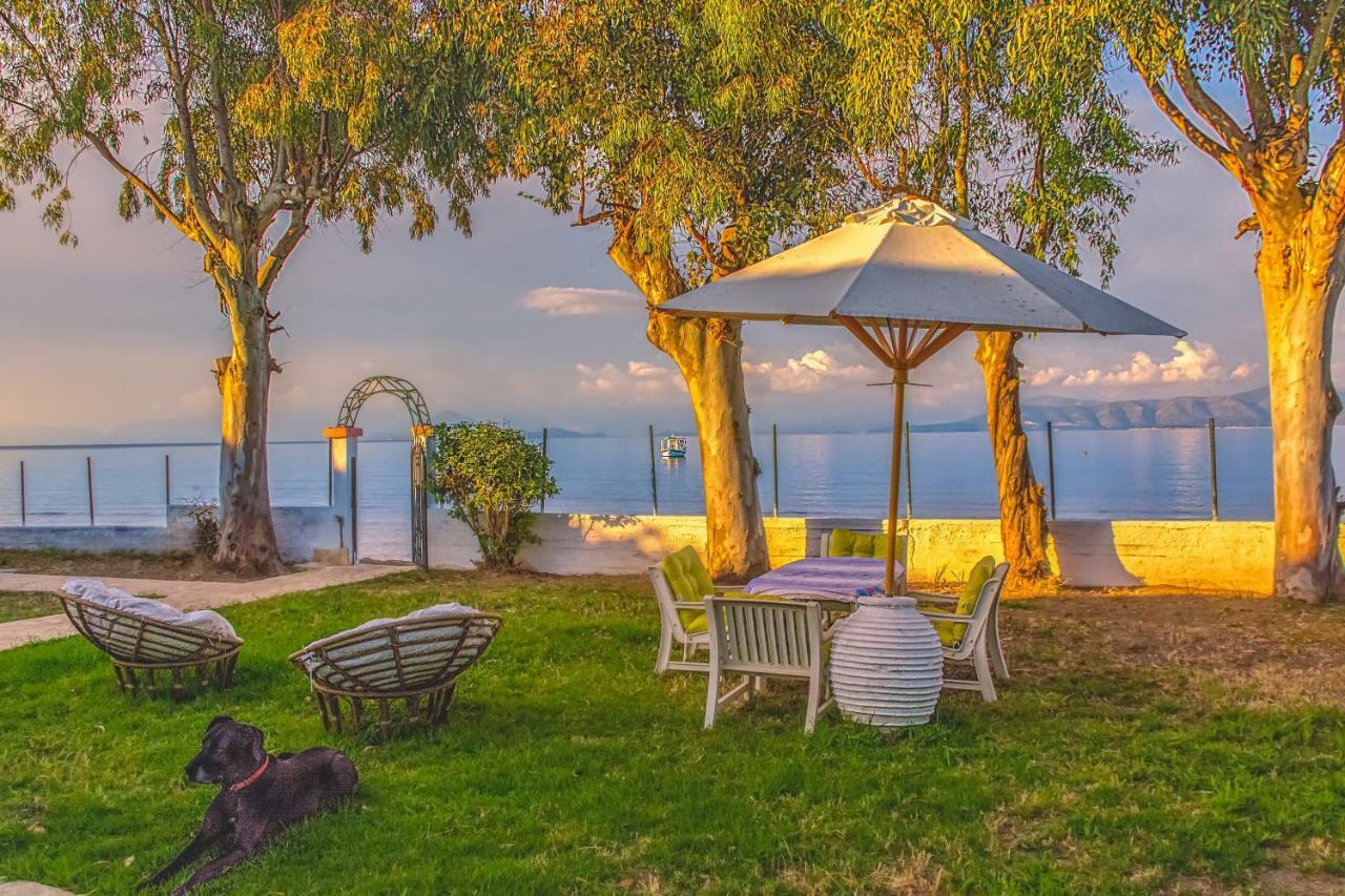 Lemami Seafront Bungalows กาวอส ภายนอก รูปภาพ